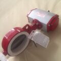5" Bray Series 30 Butterfly Valve Assembly